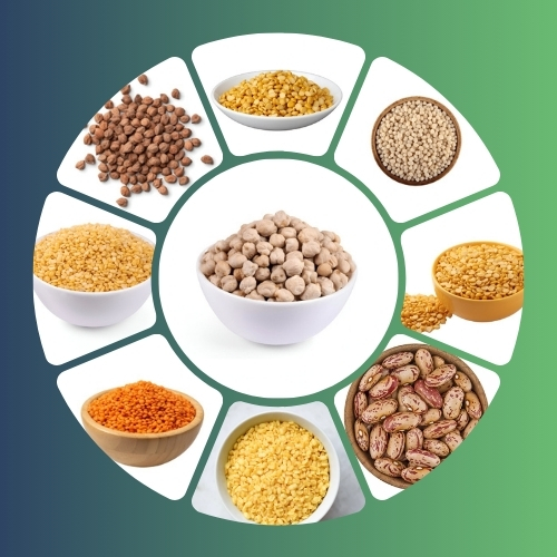 Paribhasha%20Exports