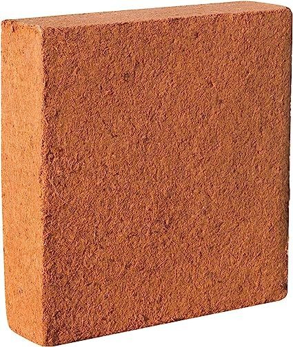 WhatsApp Image 2025-10-24 at 17.21.34